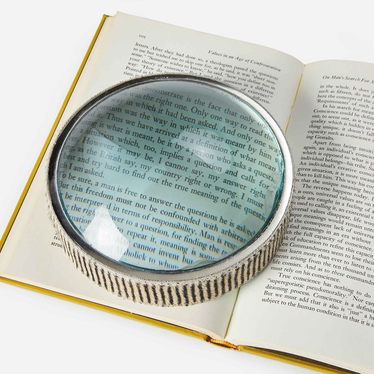 Surat, Brown Candy Striped, Magnifying Glass, Large, Hair-On Hide, M/2