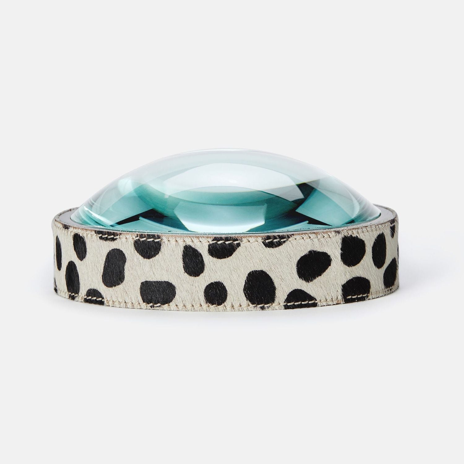 Surat, Dalmatian Print, Magnifying Glass, Large, Hair-On Hide, M/2