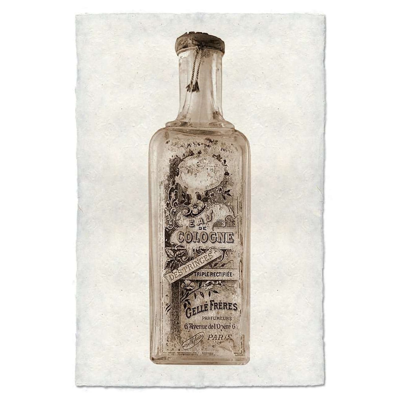 BARLOGA-DistressedCologneBottlePrint - Parent - Distressed Cologne Bottle Print