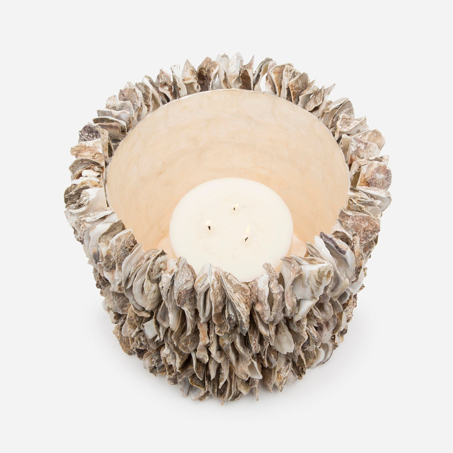 Halifax, Natural, Hurricane, Large, Oyster Shell