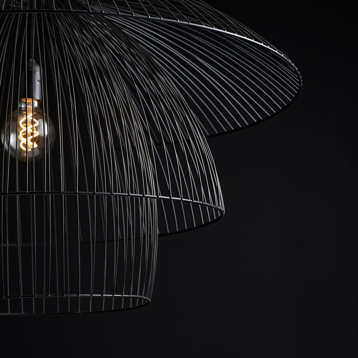 Canopy Pendant-Cyan Design-CYAN-10796-Pendants-3-France and Son