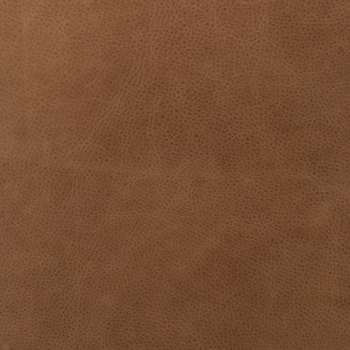 Enfield Chair - Palermo Cognac