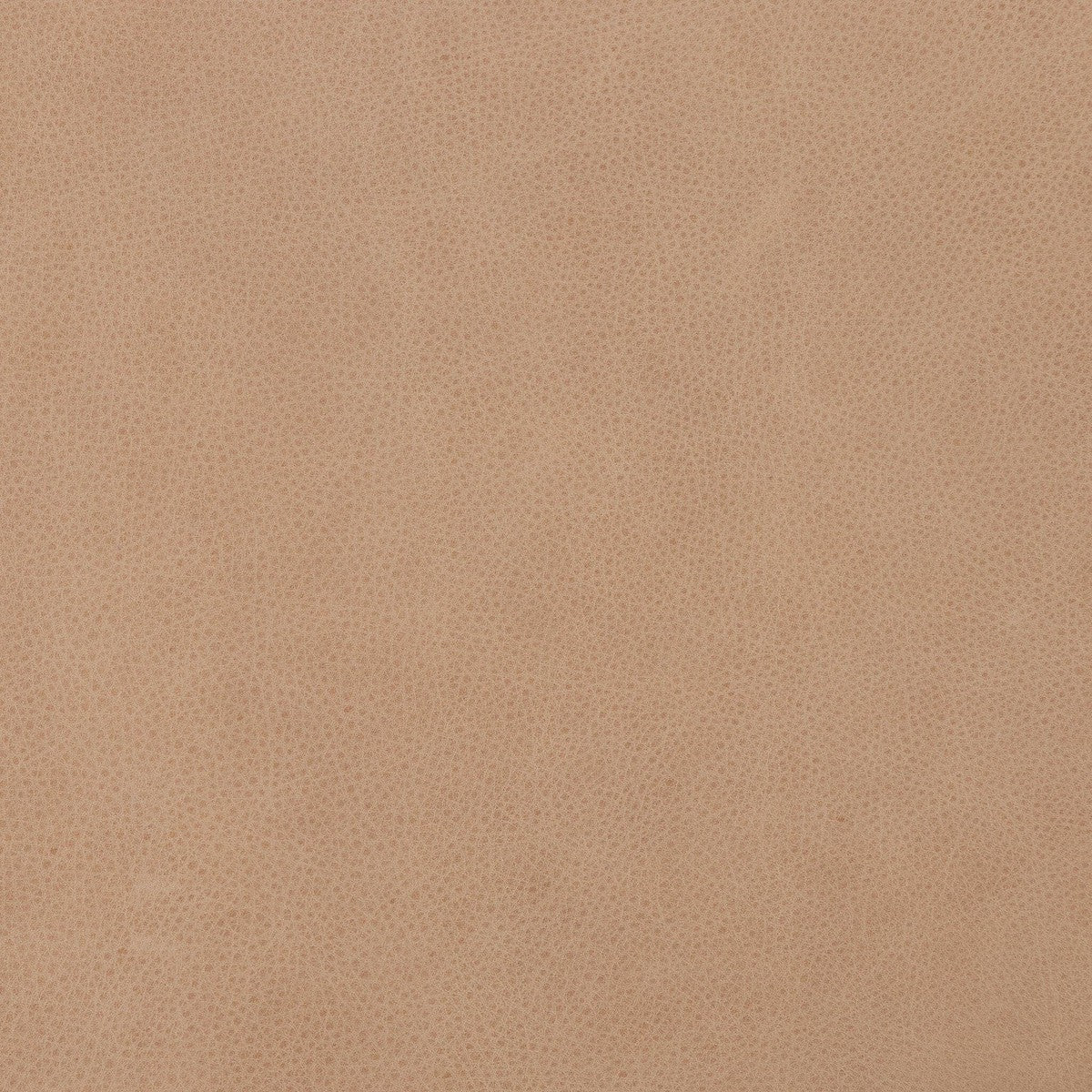 Fae Chair - Palermo Nude