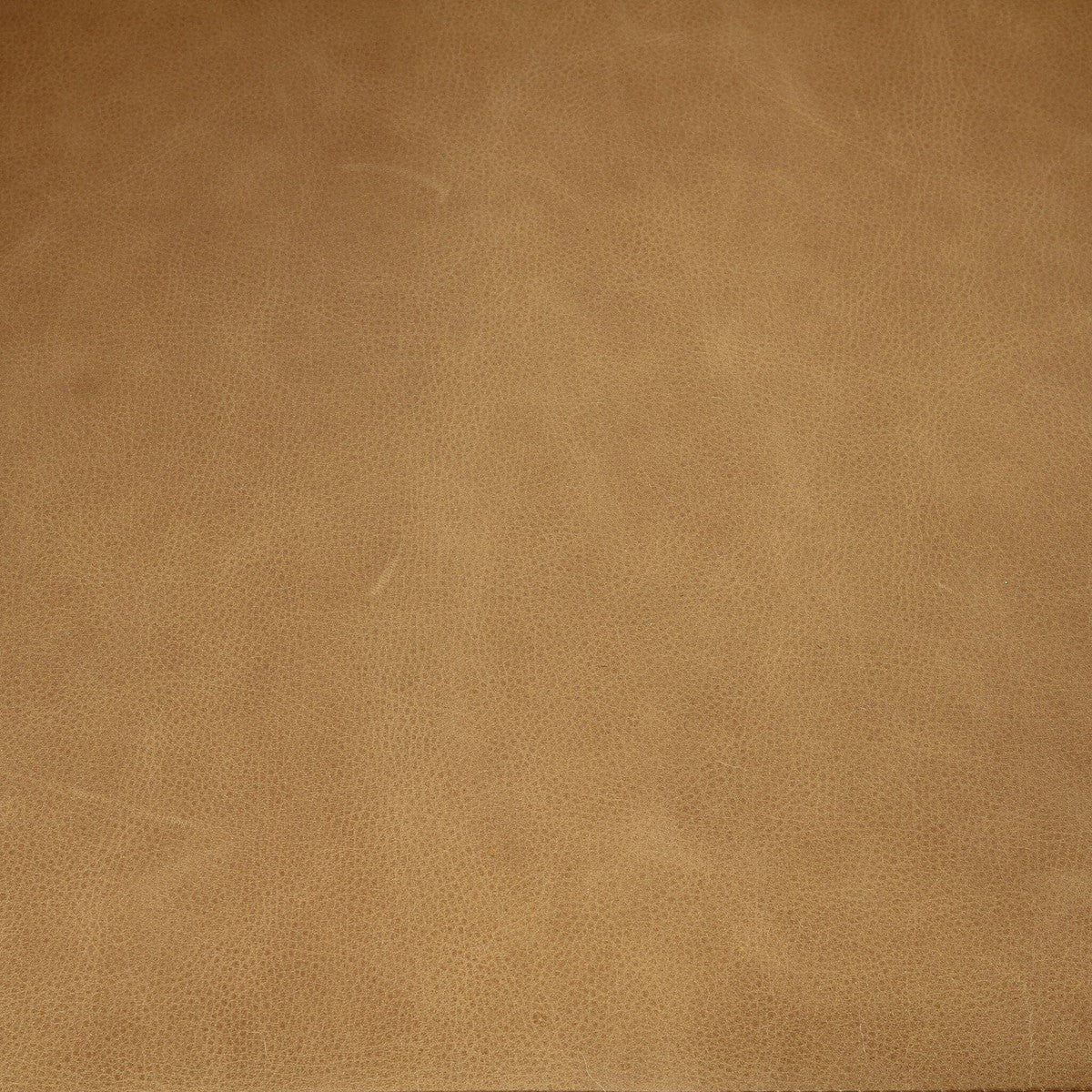 Fae Chair - Palermo Butterscotch