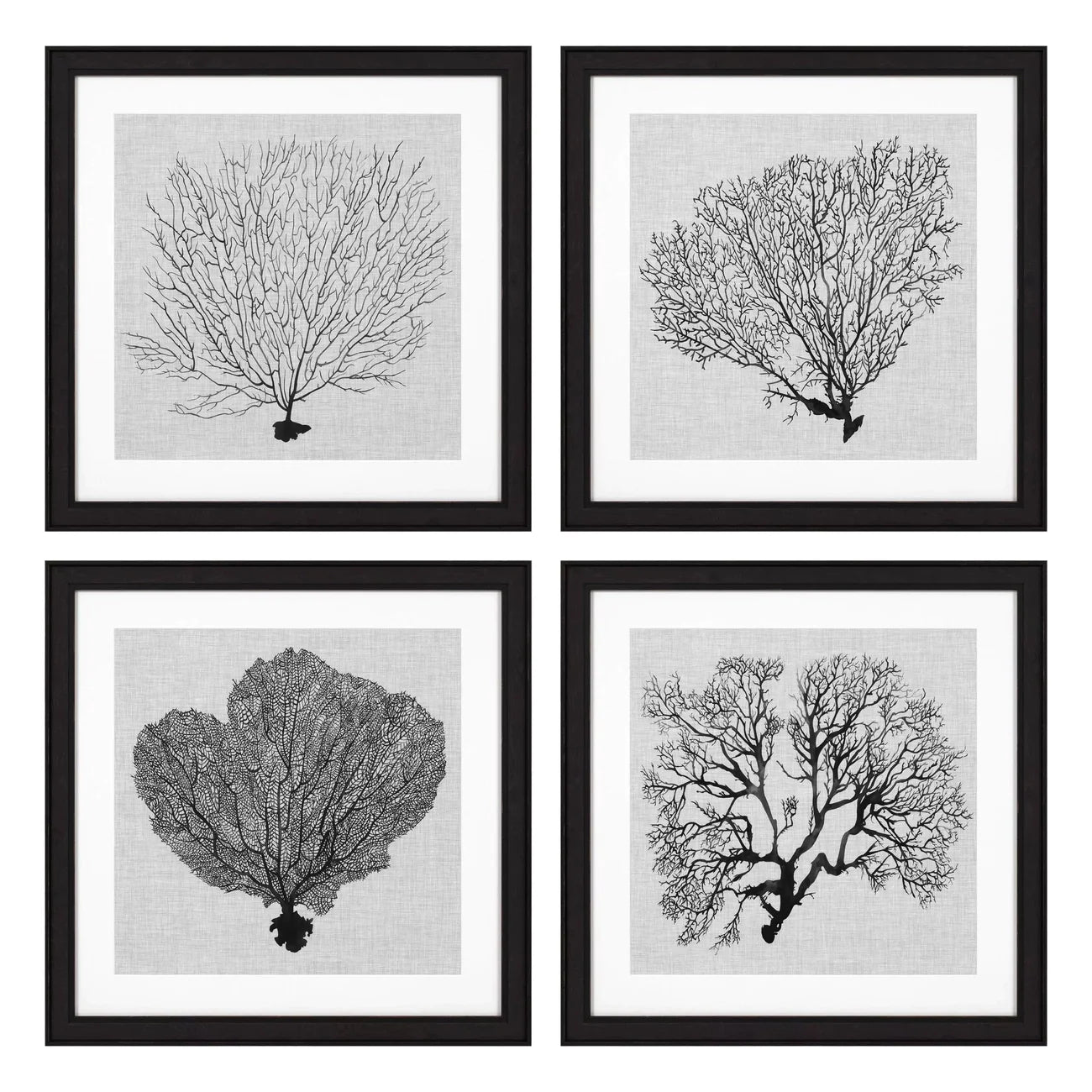 Prints Shadow Sea Fans Set Of 4-Eichholtz-EICHHOLTZ-112752-Wall Art-1-France and Son