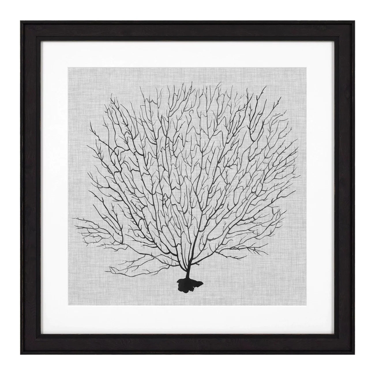 Prints Shadow Sea Fans Set Of 4-Eichholtz-EICHHOLTZ-112752-Wall Art-2-France and Son