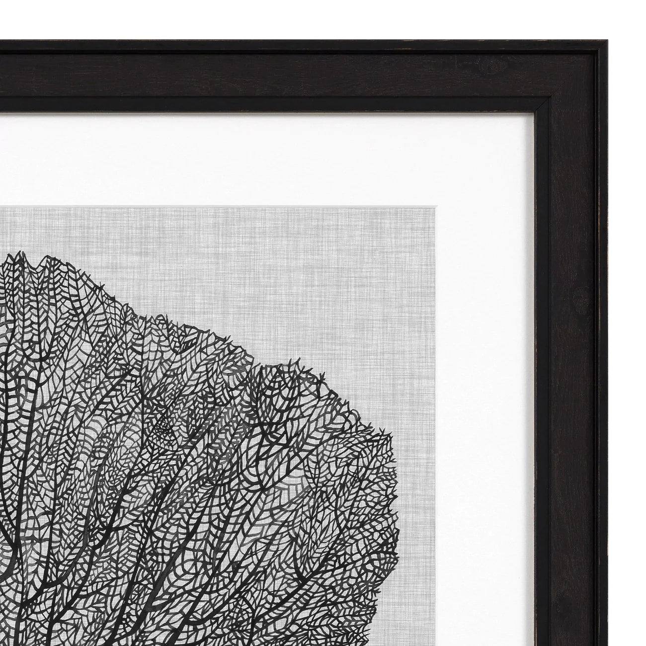 Prints Shadow Sea Fans Set Of 4-Eichholtz-EICHHOLTZ-112752-Wall Art-6-France and Son