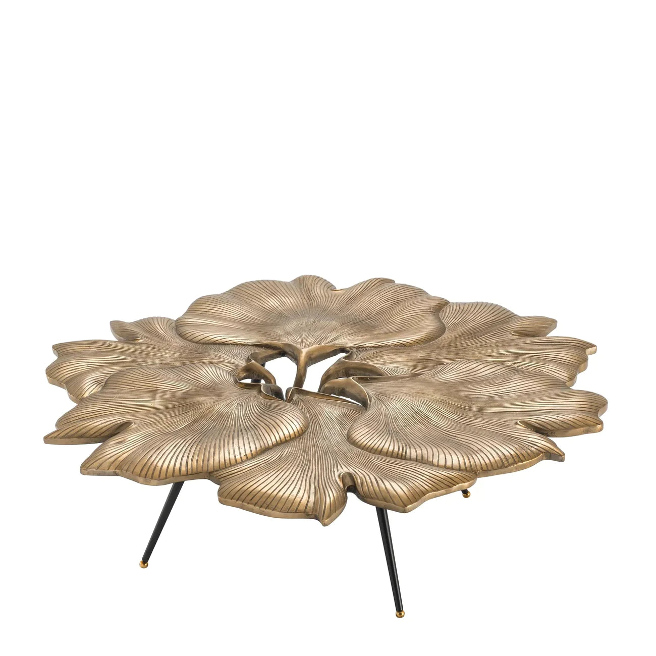 Coffee Table Ginkgo-Eichholtz-EICHHOLTZ-113154-Coffee Tables-2-France and Son