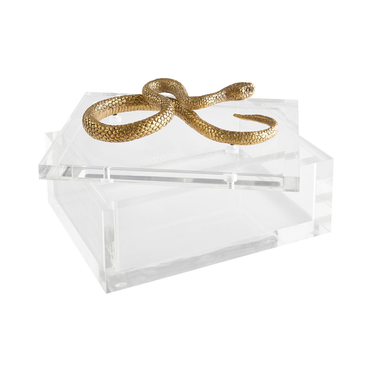 Snake Box| Clear | Brass-Cyan Design-CYAN-11763-Decorative Objects-1-France and Son