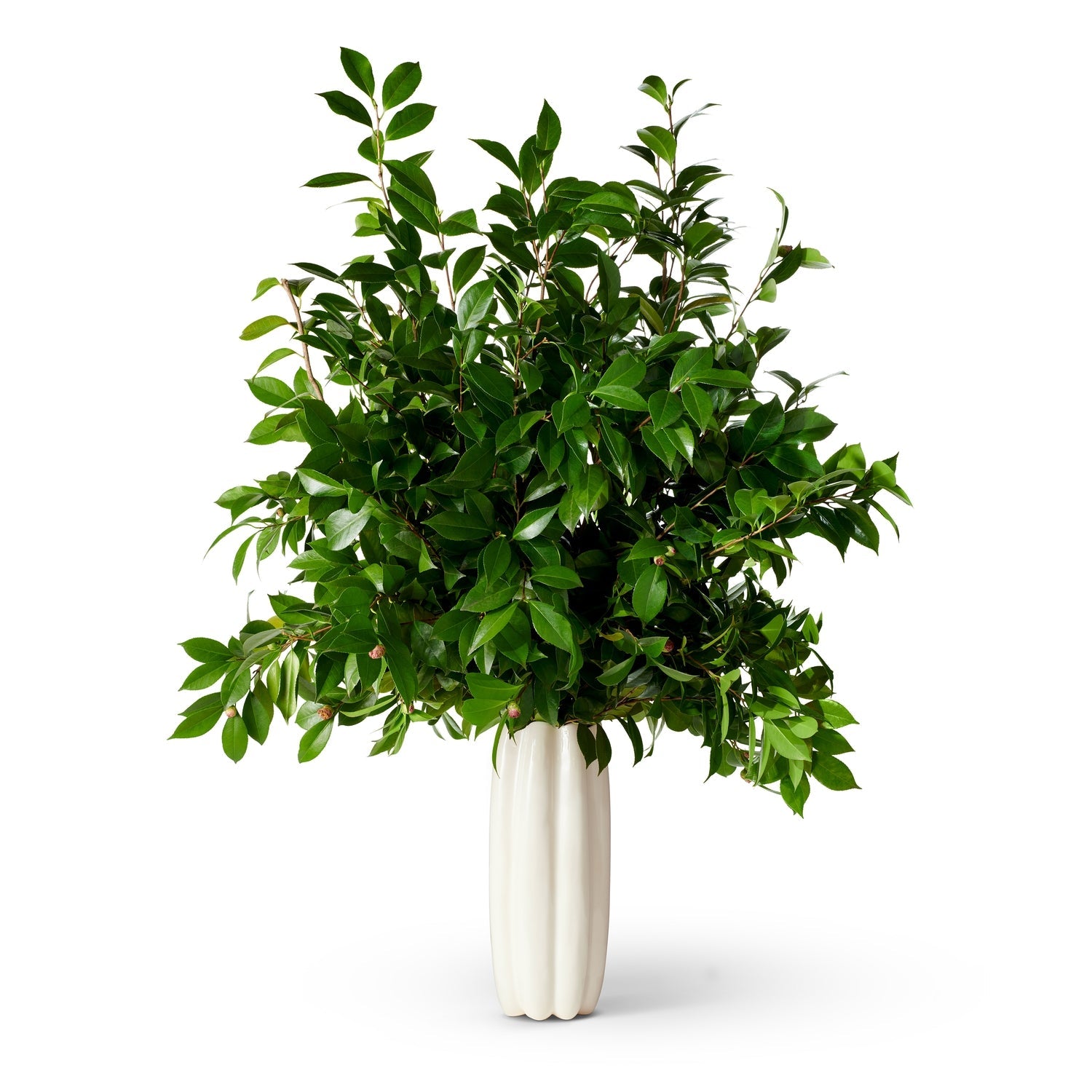Mirabelle Tall Vase - image 3