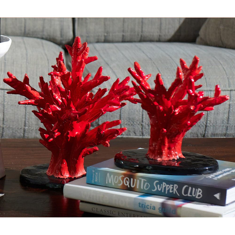 Coral Collections-ABIGAILS-ABIGAILS-211100-Decorative ObjectsIvory with Black Oval Base-Small-5-France and Son