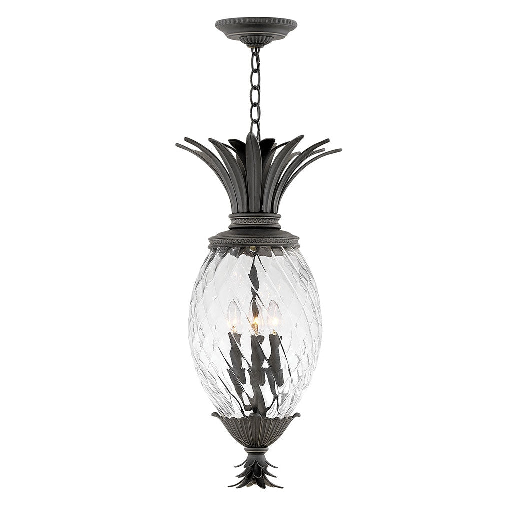 Outdoor Plantation - Large Hanging Lantern-Hinkley Lighting-HINKLEY-2122MB-Outdoor Post Lanterns-1-France and Son