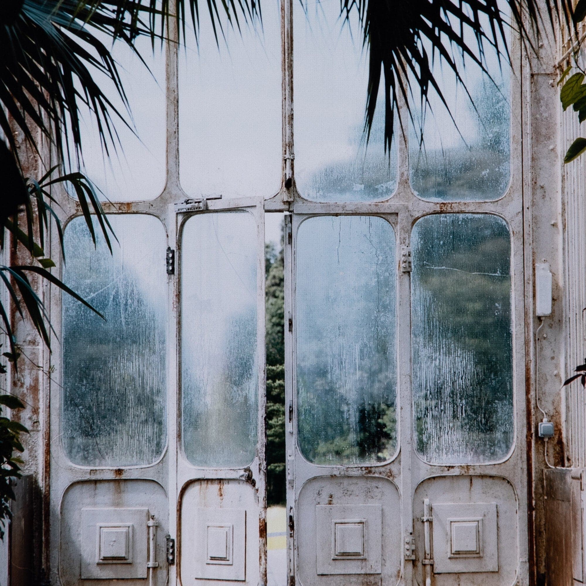 Greenhouse II by Annie Spratt - Photo Paper