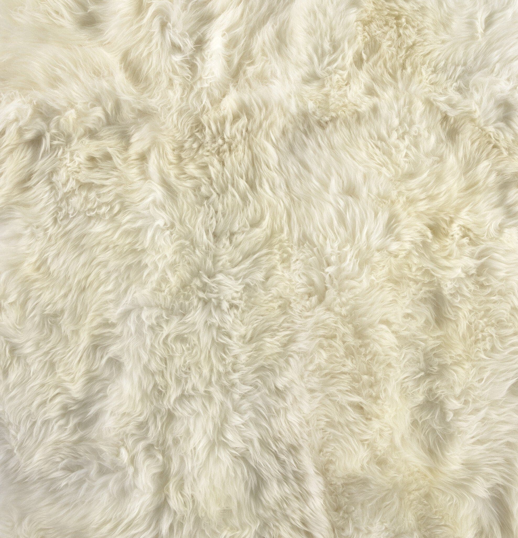 Lalo Lambskin Rug - White Lambskin