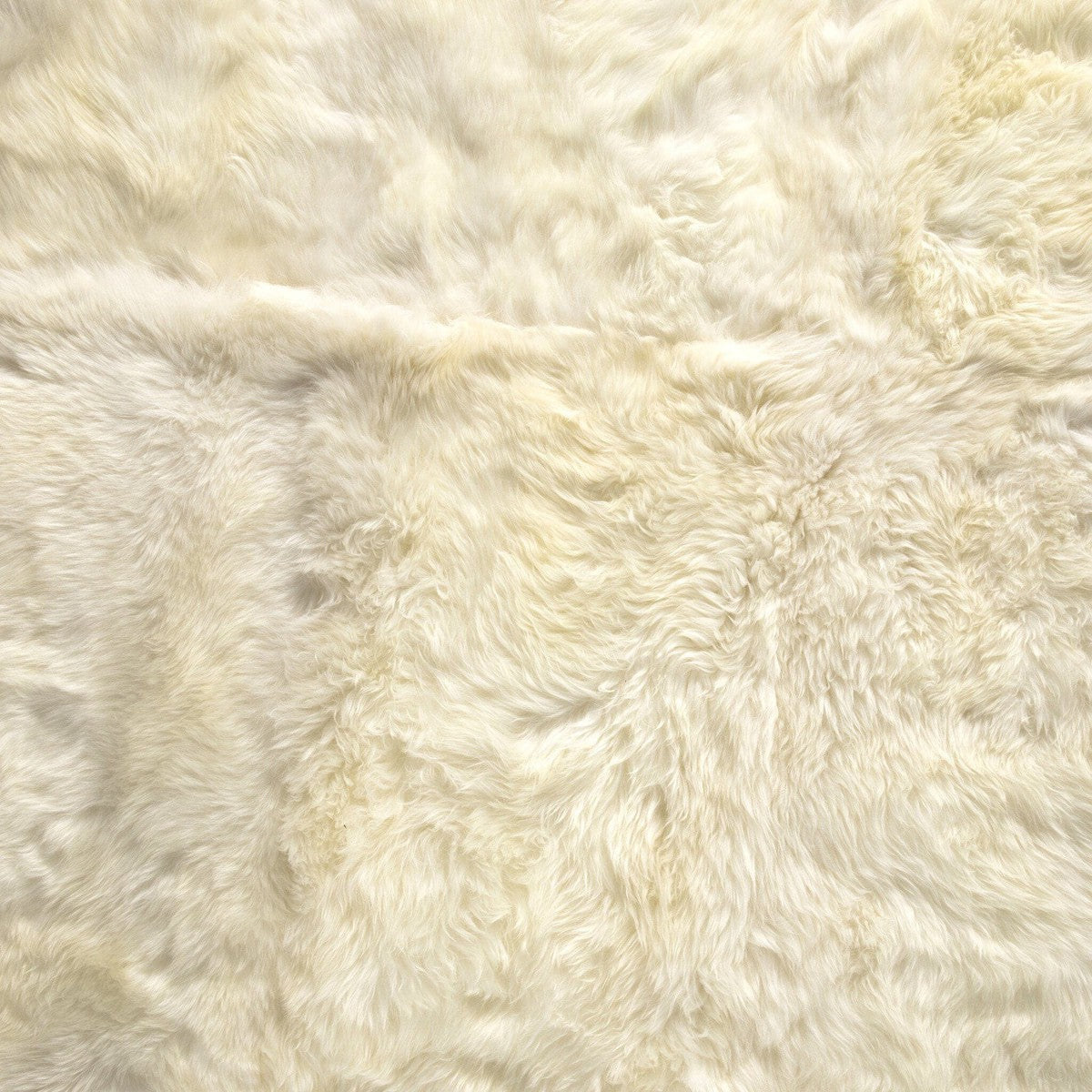 Lalo Lambskin Rug - White Lambskin