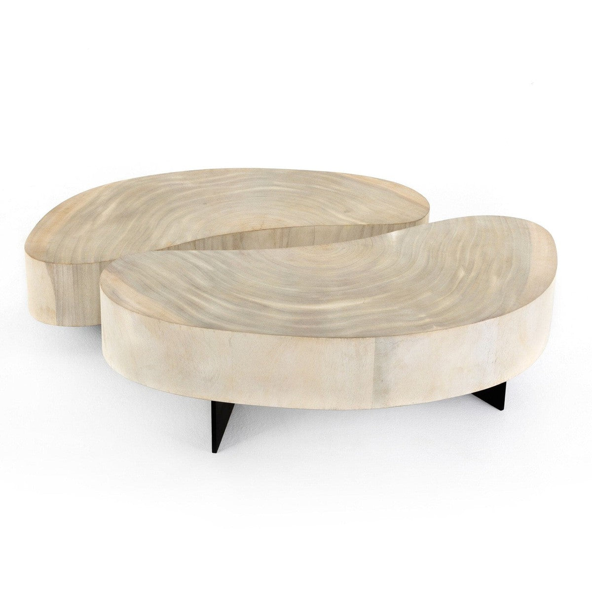 Avett Coffee Table - Bleached Guanacaste Oyster