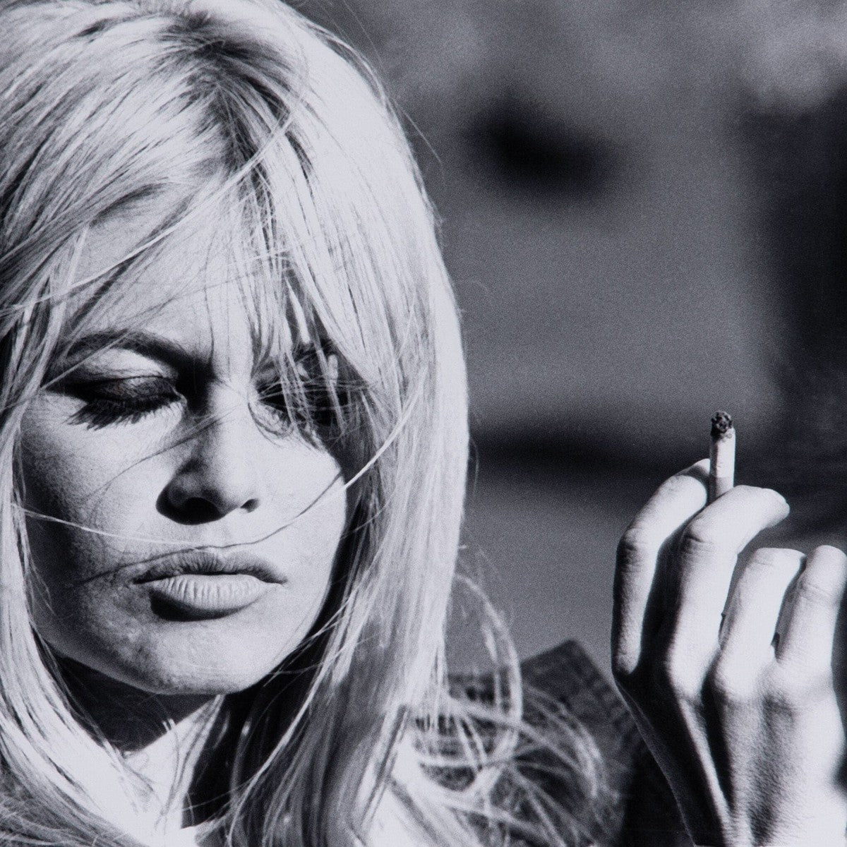 Brigitte Bardot by Getty Images - Black 2.5 Maple