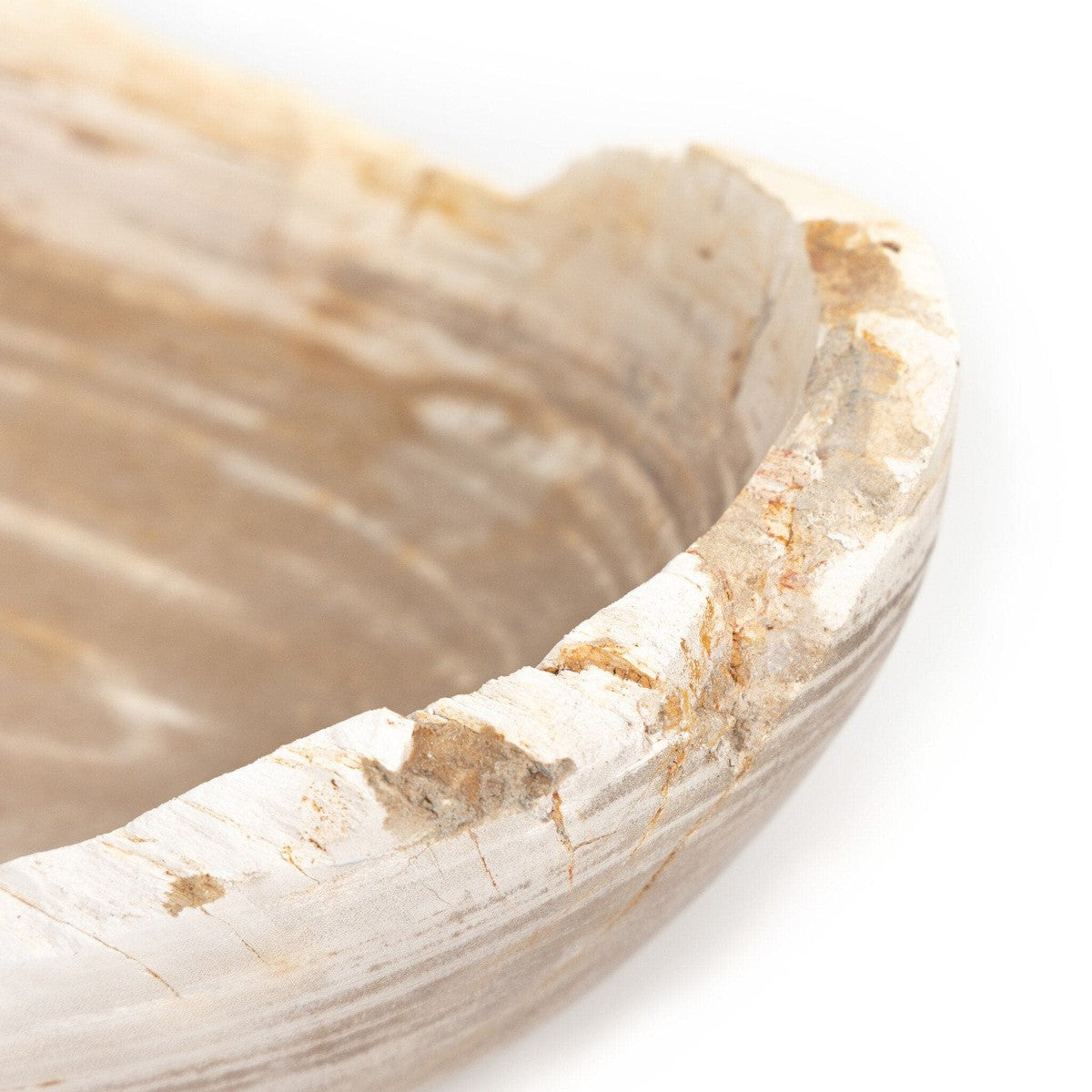 Oval Petrified Wood Bowl - Light Petrified Wood