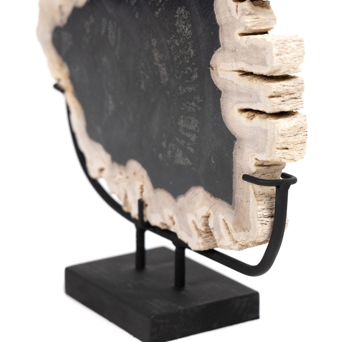 Petrified Wood Sculpture - Matte Black Iron