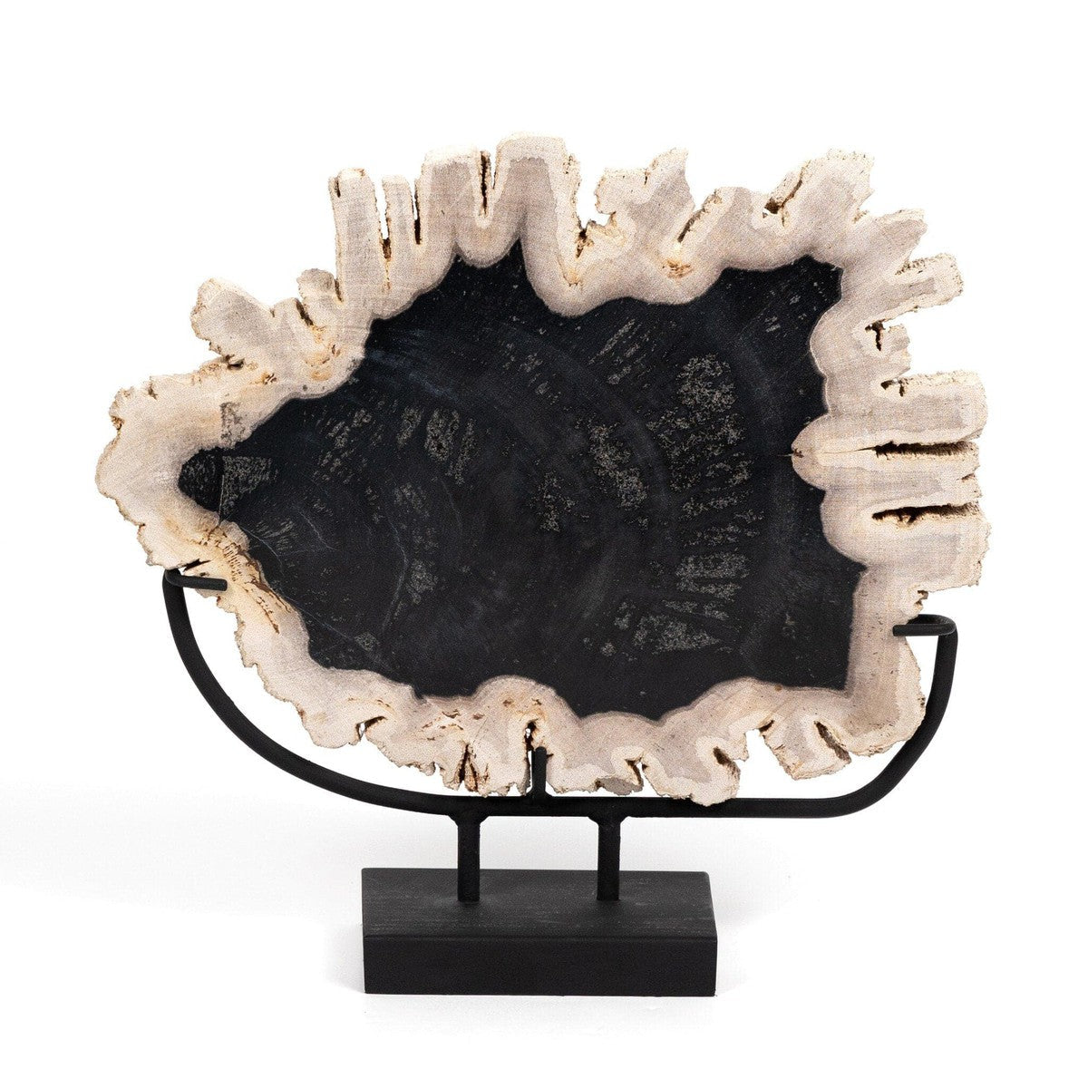 Petrified Wood Sculpture - Matte Black Iron