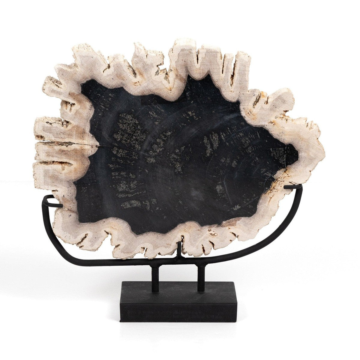 Petrified Wood Sculpture - Matte Black Iron