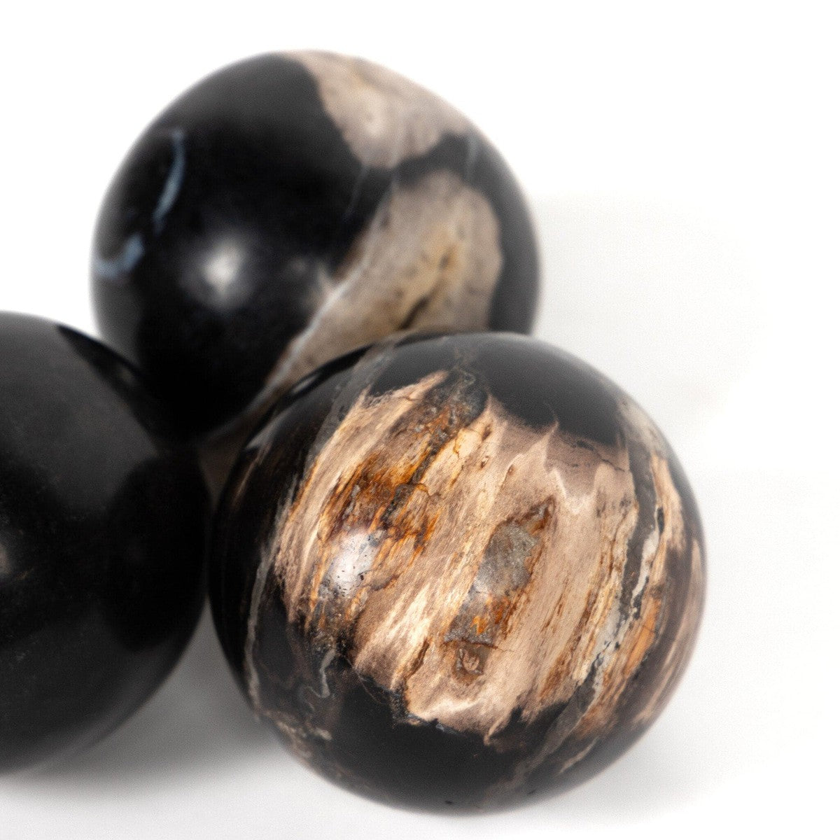 Petrified Wood Balls, Set Of 3 - Dark Petrified Wood