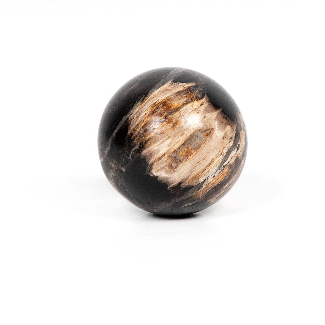 Petrified Wood Balls, Set Of 3 - Dark Petrified Wood