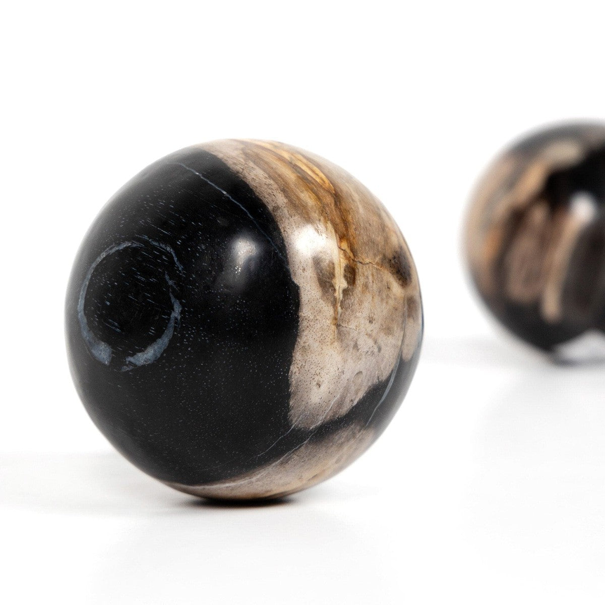 Petrified Wood Balls, Set Of 3 - Dark Petrified Wood