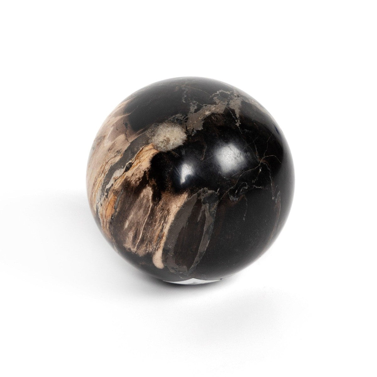 Petrified Wood Balls, Set Of 3 - Dark Petrified Wood