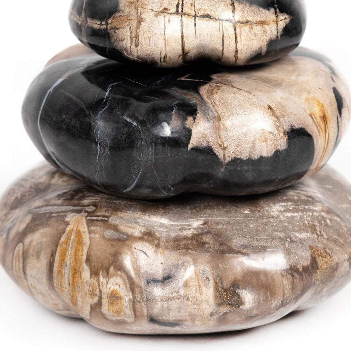 Petrified Wood Organic Sculpture, Set Of 3 - Dark Petrified Wood