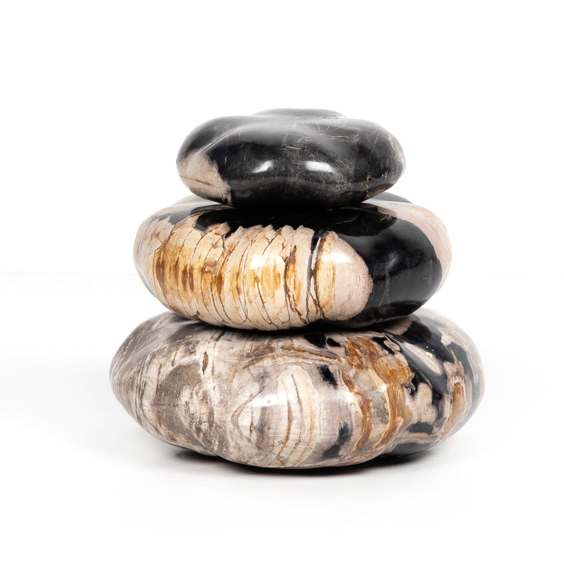 Petrified Wood Organic Sculpture, Set Of 3 - Dark Petrified Wood