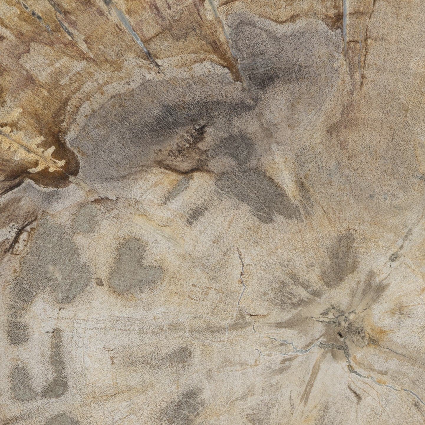 Jonty Round End Table - Light Petrified Wood