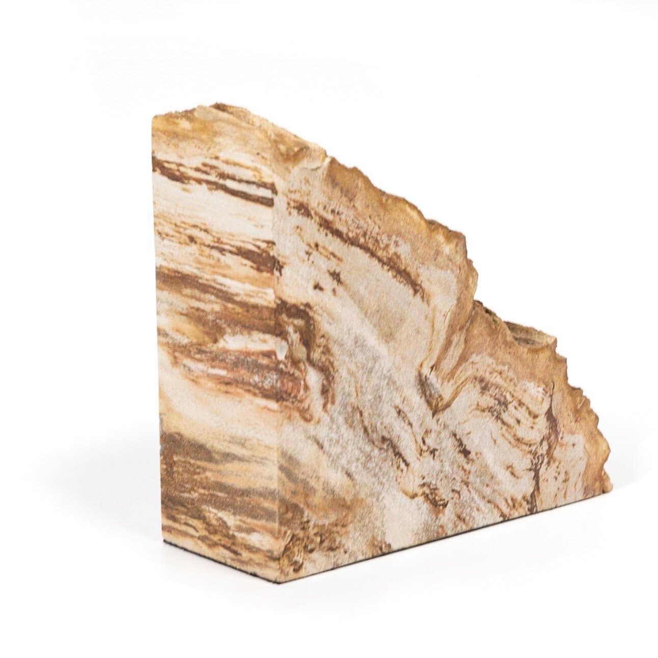 Petrified Wood Book Ends - Light Petrified Wood