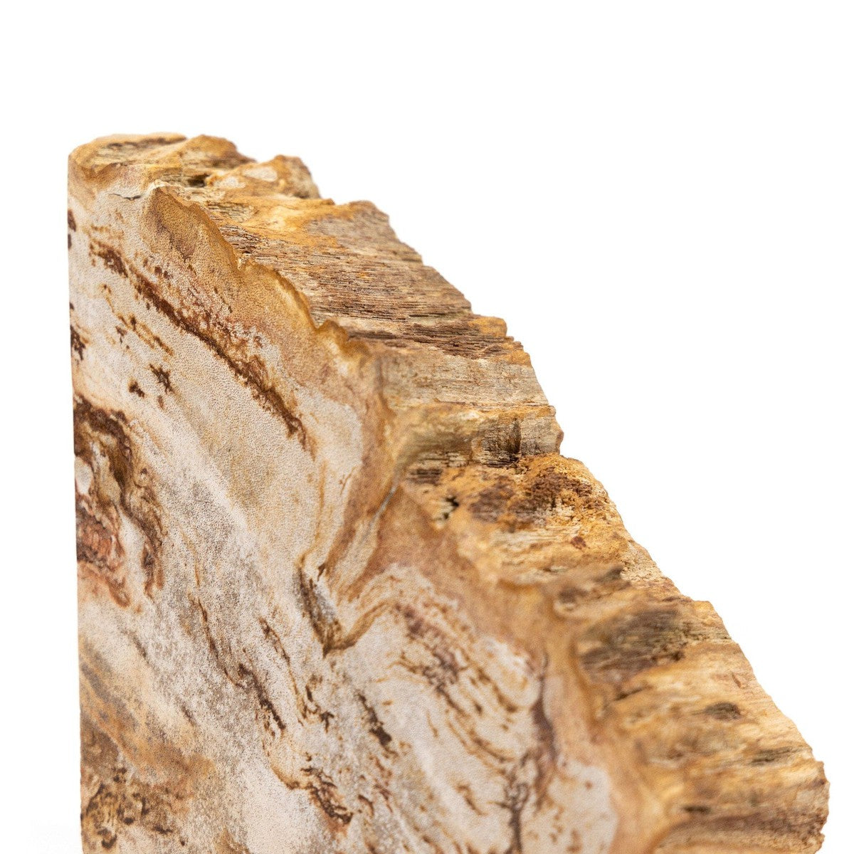 Petrified Wood Book Ends - Light Petrified Wood