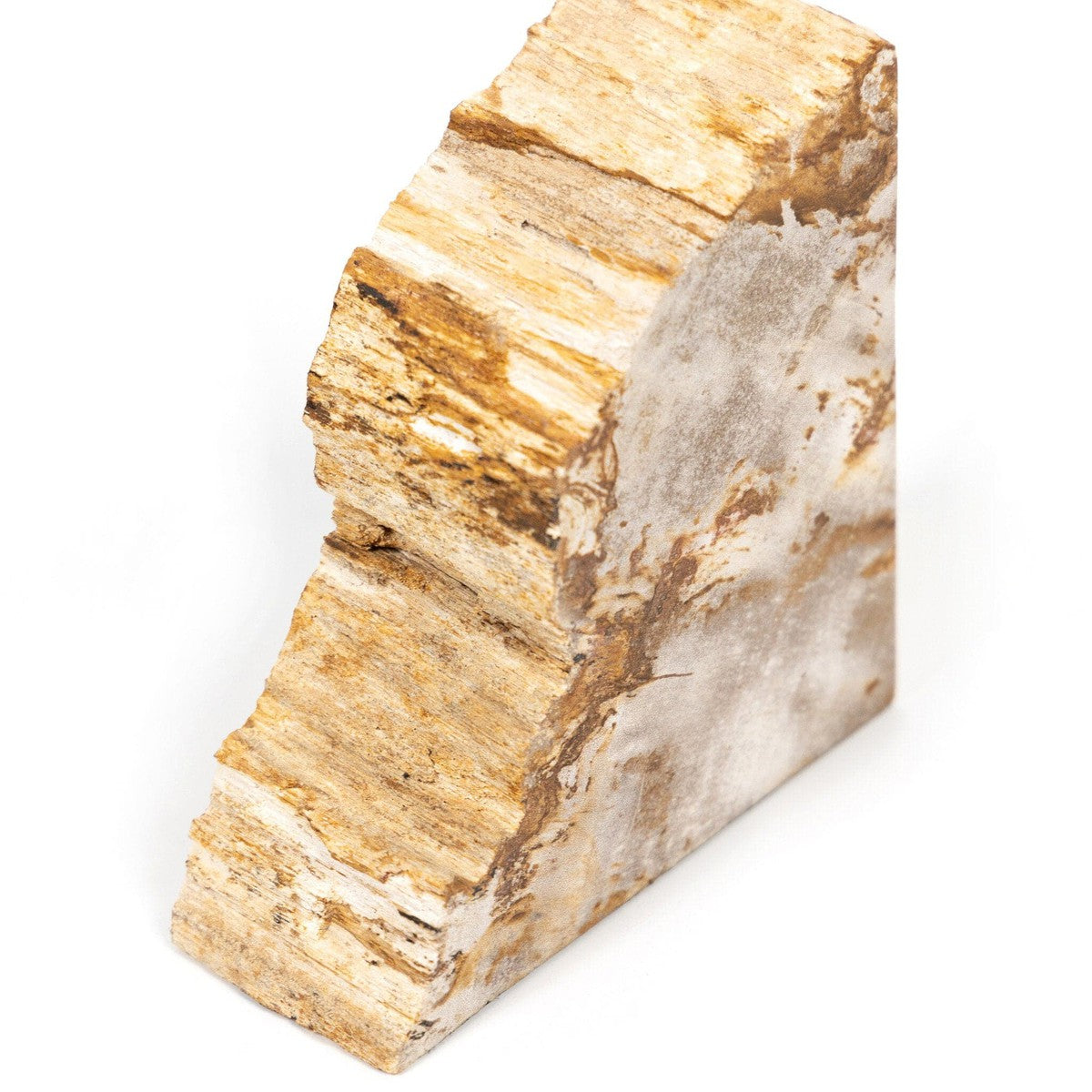 Petrified Wood Book Ends - Light Petrified Wood