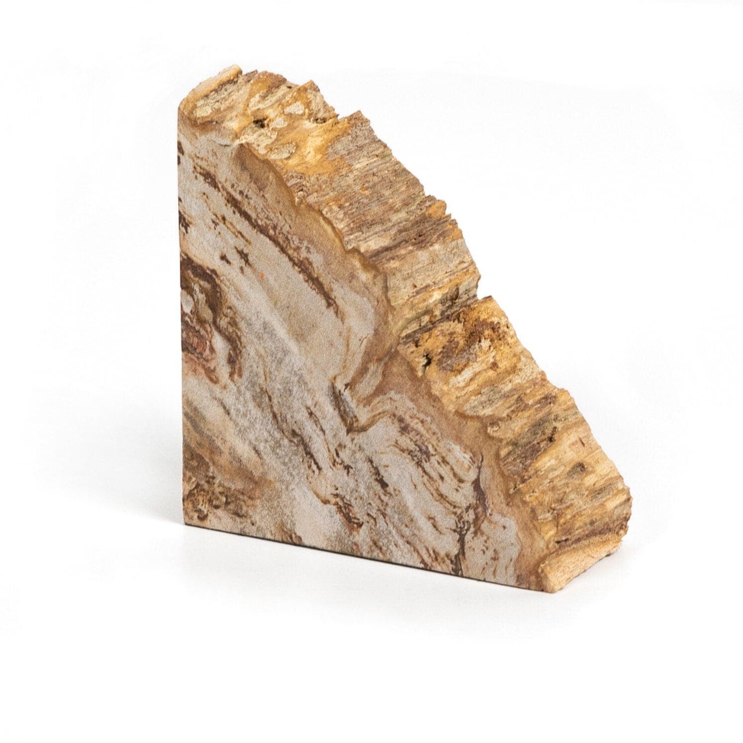 Petrified Wood Book Ends - Light Petrified Wood