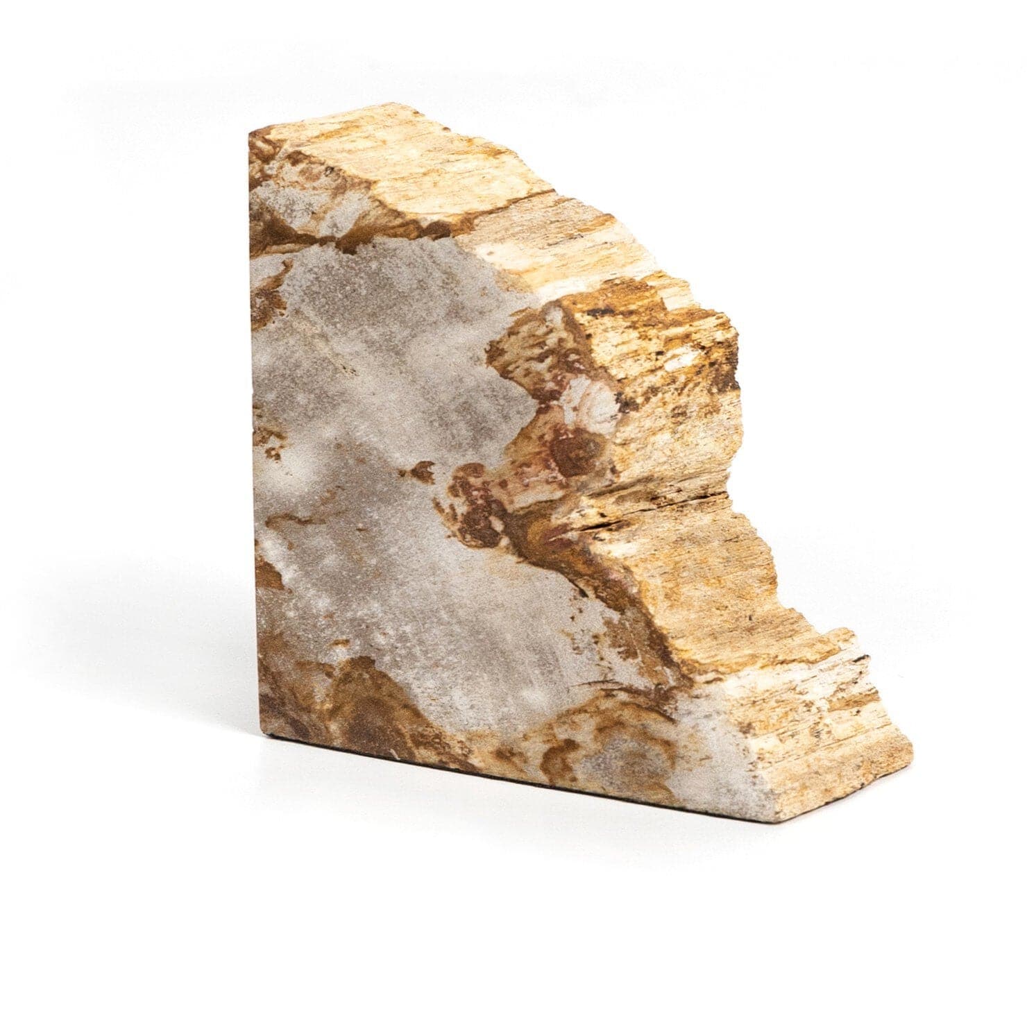 Petrified Wood Book Ends - Light Petrified Wood