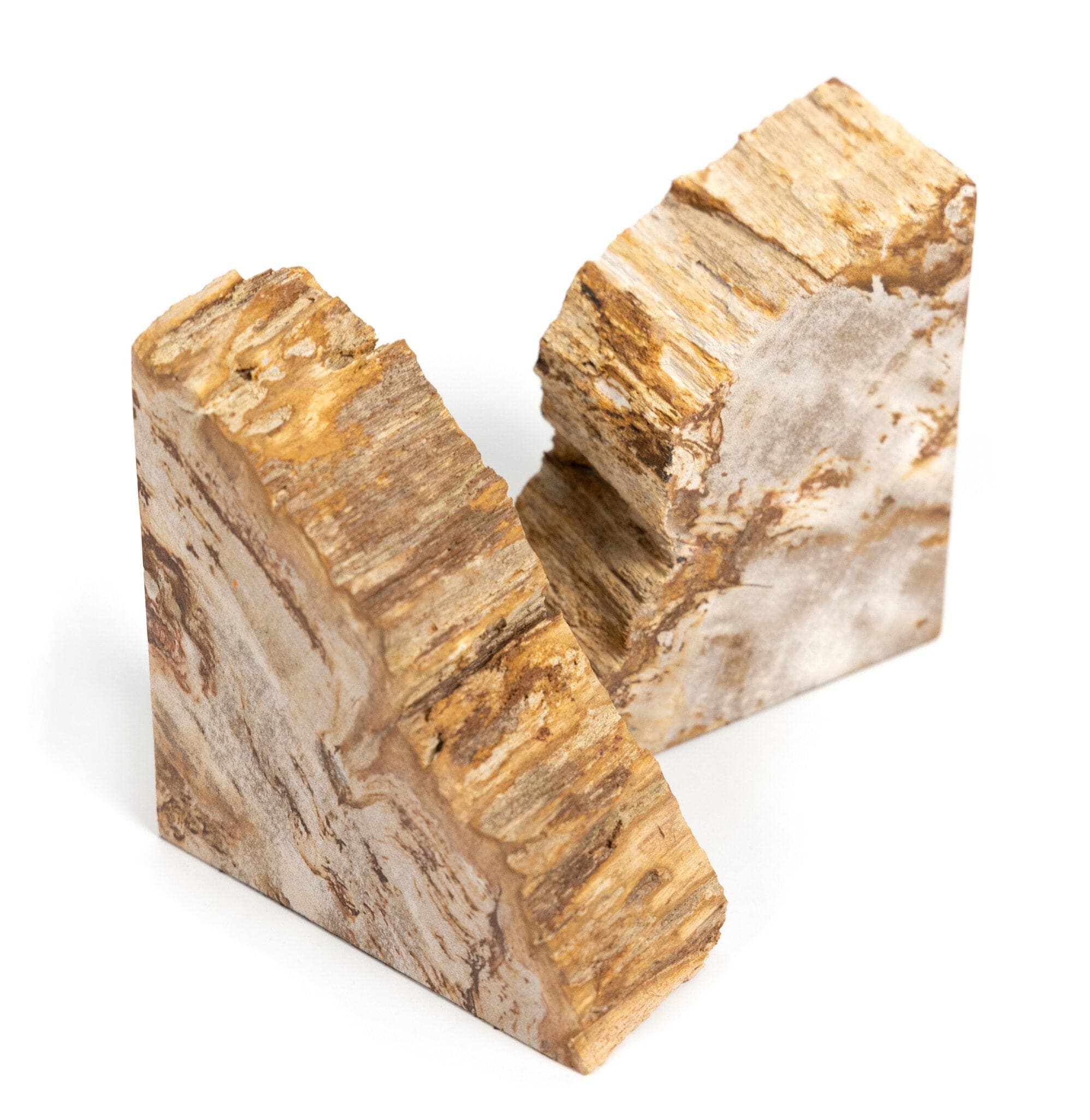 Petrified Wood Book Ends - Light Petrified Wood