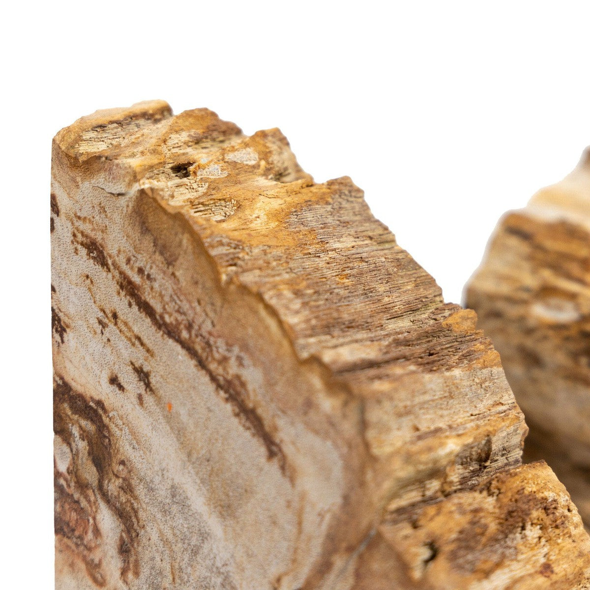 Petrified Wood Book Ends - Light Petrified Wood