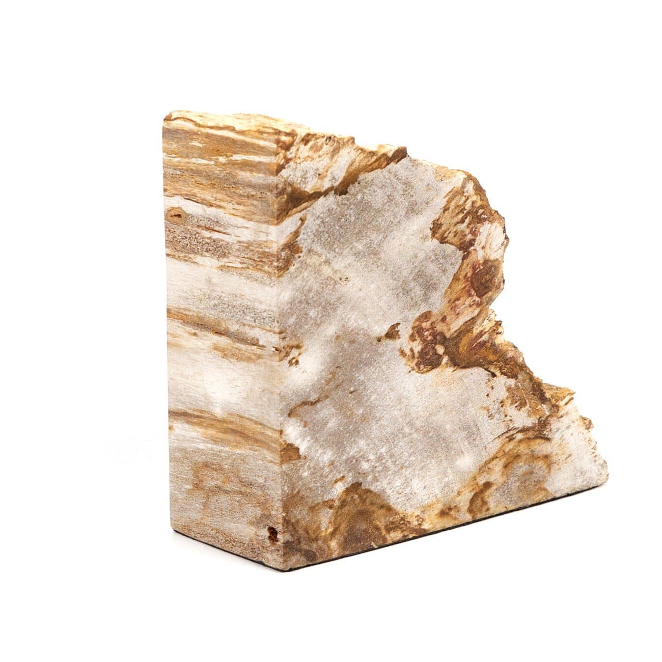 Petrified Wood Book Ends - Light Petrified Wood