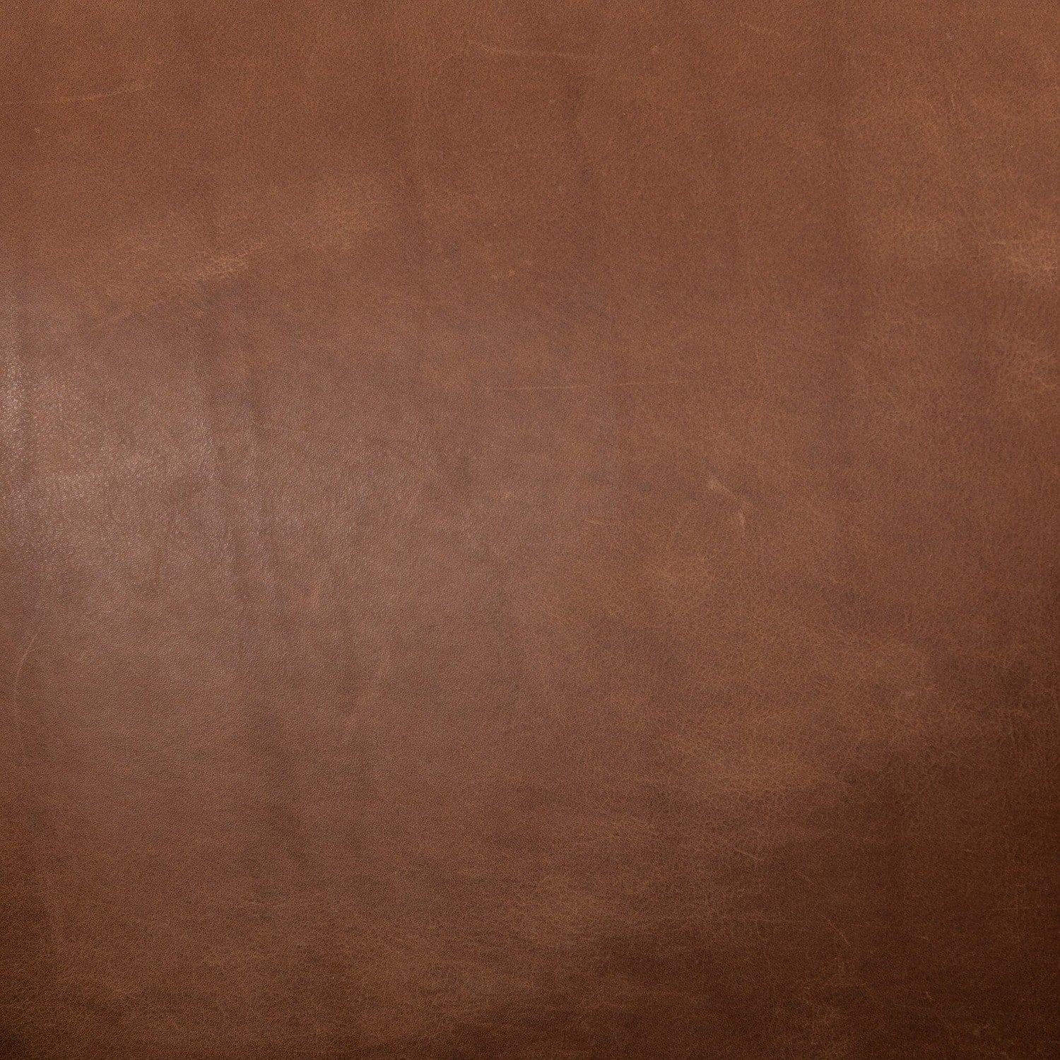Reggie Chair - Heirloom Sienna