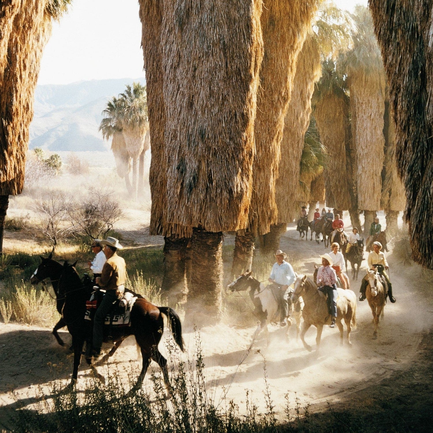 Palm Springs Riders by Slim Aarons - Vertical Grain White Oak Floater