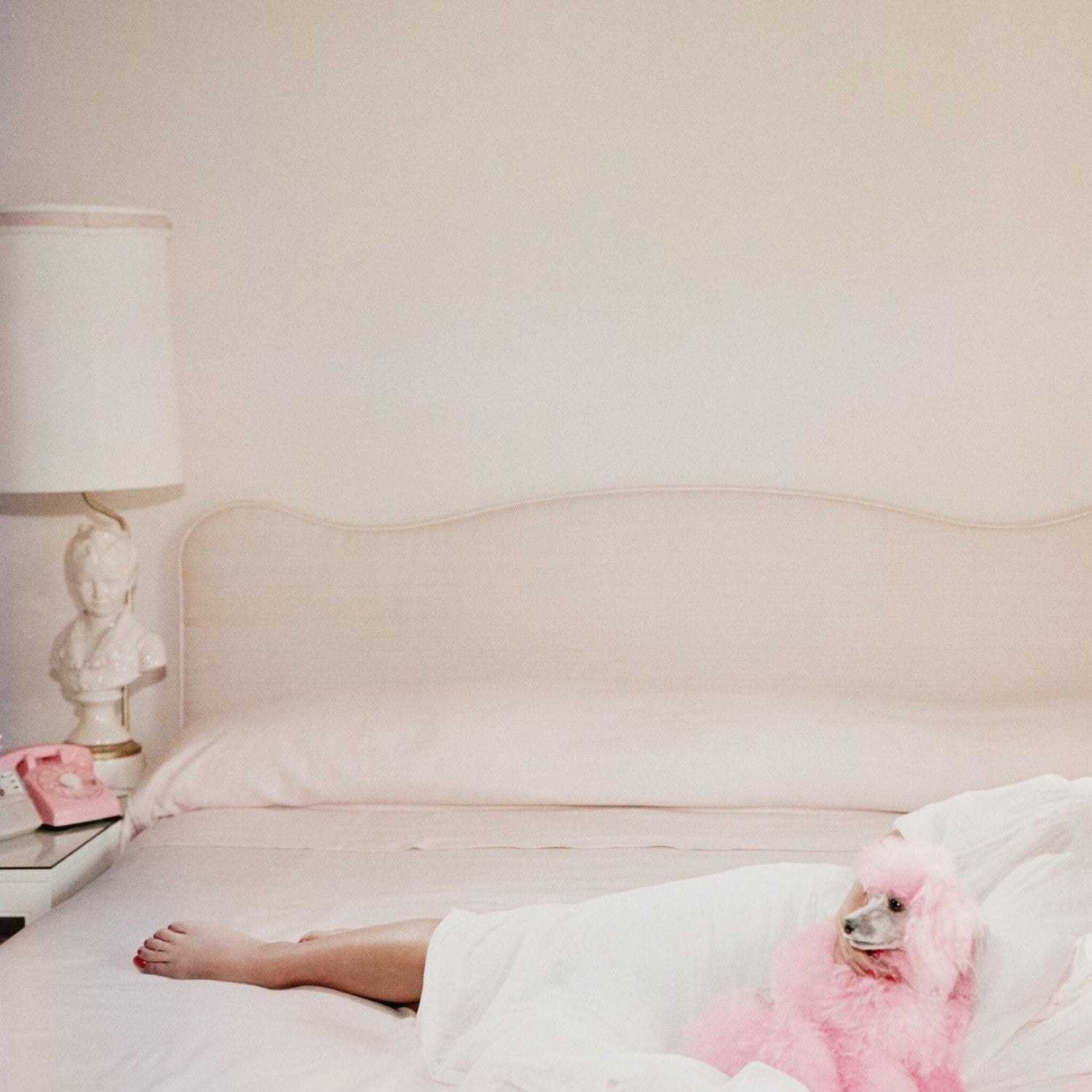 Joan Collins Relaxes by Slim Aarons - White Maple Floater