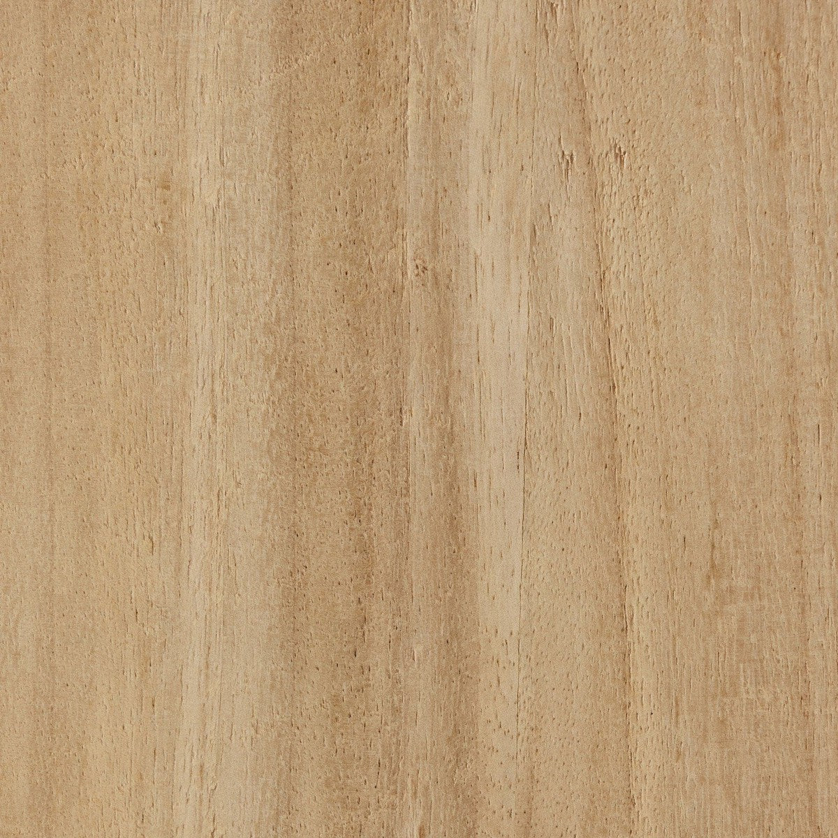 Bahari Sideboard - Light Guanacaste Veneer