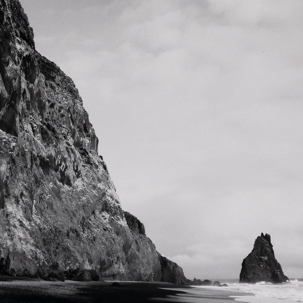 Reynisfjara/Vik, Iceland by Wesley and Emma Teague - Black Maple Floater