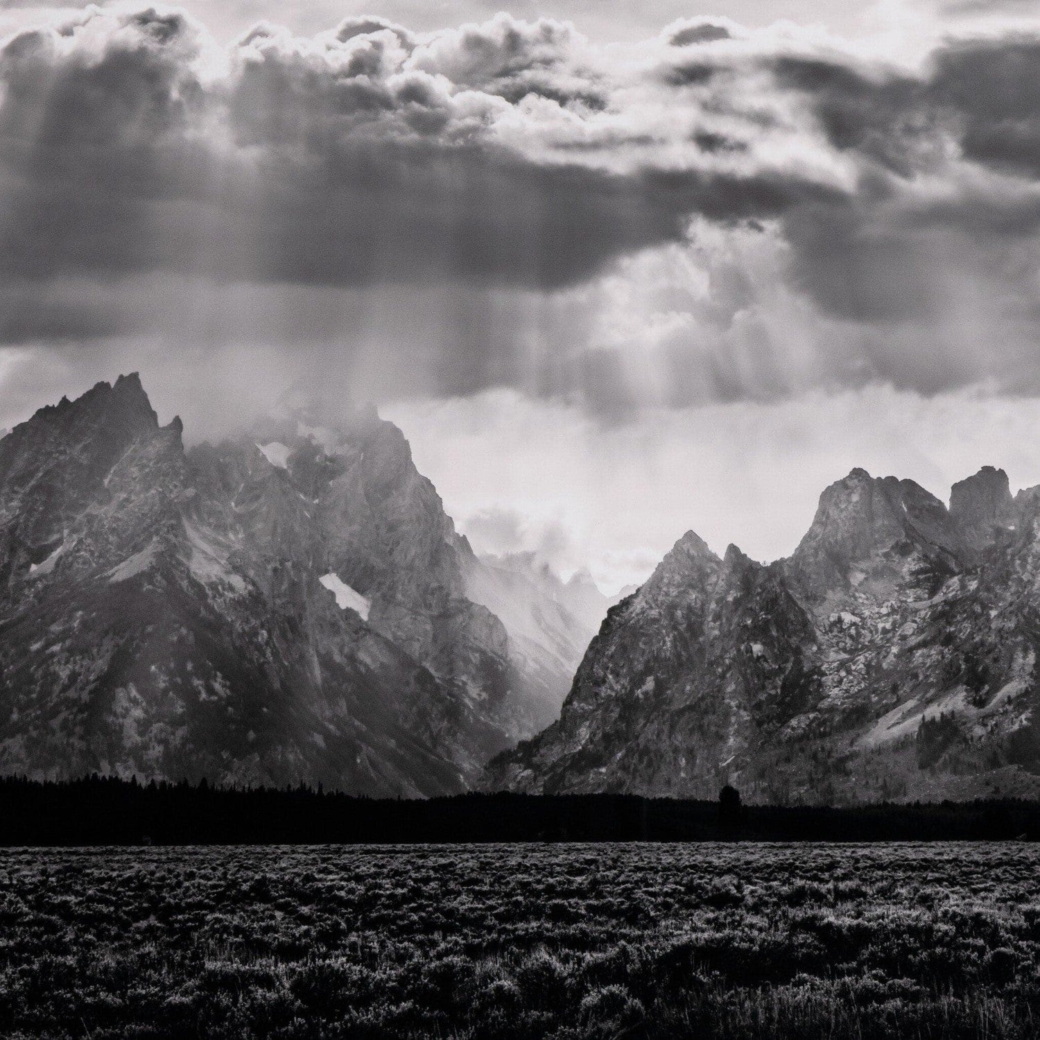 Grand Teton Range by Getty - Black Maple Floater