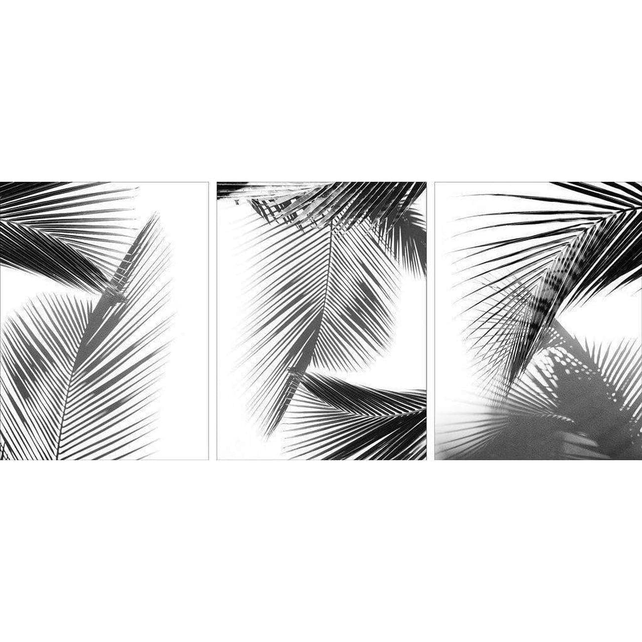 BARLOGA-PalmShadowsPrint  - palm shadows print 