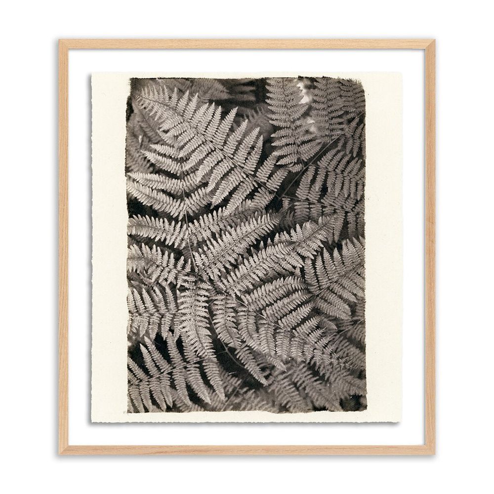 Wall Art Fern By Platinum Revival - 47.5"X60" - White Oak