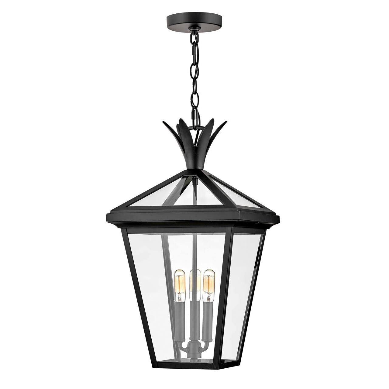 Outdoor Palma - Large Hanging Lantern-Hinkley Lighting-HINKLEY-26092BK-1-Outdoor Post LanternsBlack-1-France and Son