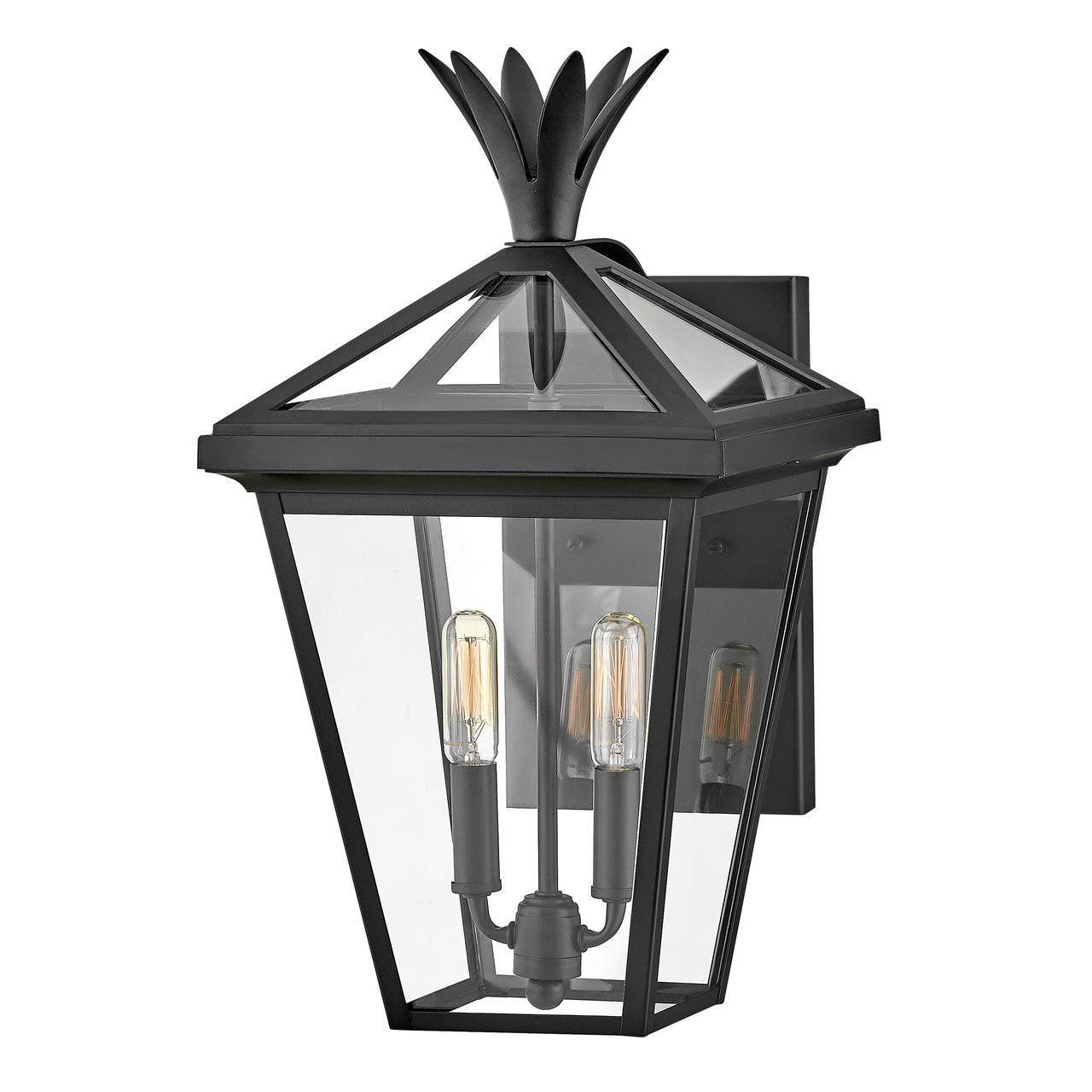 Outdoor Palma - Medium Wall Mount Lantern-Hinkley Lighting-HINKLEY-26094BK-Wall LightingBlack-1-France and Son